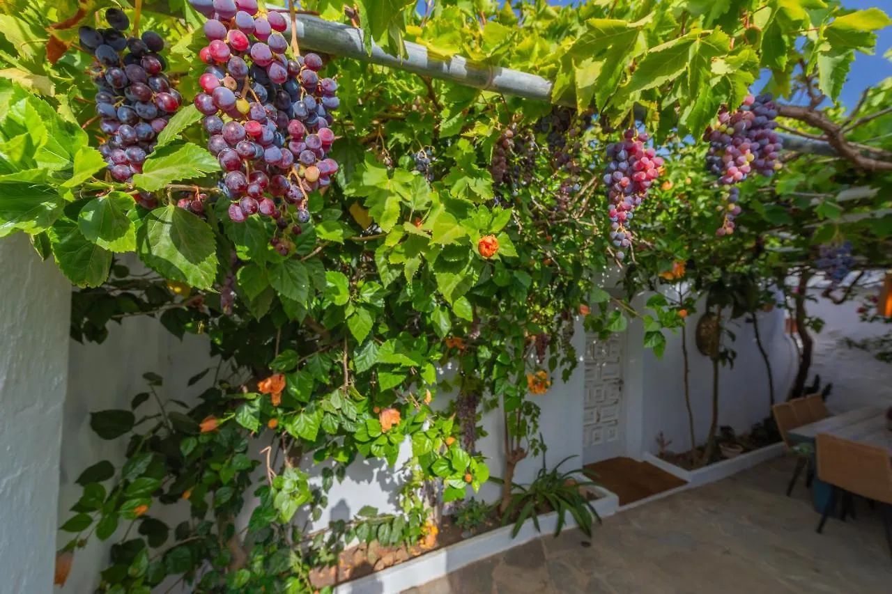 Villa Casa Cortijo Piscina Privada Y Sauna Tarifa Spanien